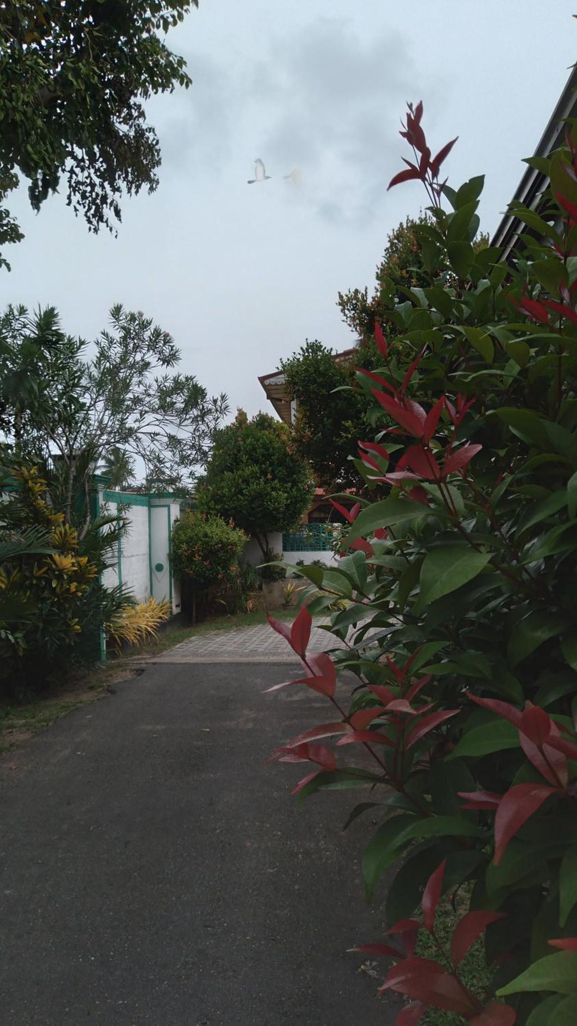 Ch Rooms - Transit Airport Negombo Exterior foto